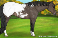 Horse Color:Brown Dun Snowcap Brindle 