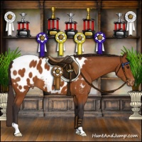 Horse Color:Buckskin Blanket 