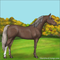 Horse Color:Silver Black 