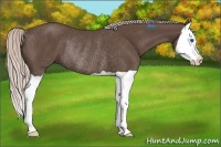 Horse Color:Silver Black Splash Rabicano 