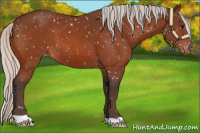 Horse Color:Silver Bay Snowflake Varnish 