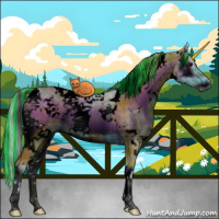 Horse Color:ERROR: UNKNOWN ANOMALY