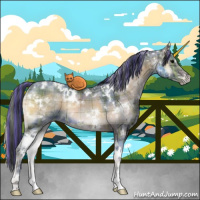 Horse Color:Painted Plaid  White Spotted Brown Ice Onyx Rabicano