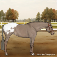 Horse Color:Liver Red Dun Mushroom Snowcap Brindle 
