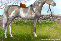 Horse Color:White Spotted Liver Red Dun Mushroom Rabicano Brindle 
