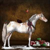 Horse Color:White Spotted Silver Brown Pearl Onyx Rabicano 