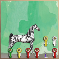 Horse Color:Brown Appaloosa