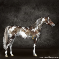 Horse Color:White Spotted Liver Red Onyx Ice