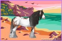 Horse Color:Bay Sabino Frame Blanket
