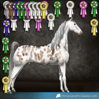 Horse Color:Liver Red Dun Appaloosa Brindle