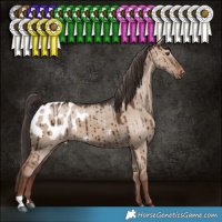 Horse Color:Liver Red Dun Appaloosa Brindle 