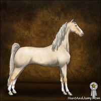 Horse Color:Gold Cream Champagne Roan Dun Sabino Brindle 