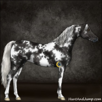 Horse Color:White Spotted Liver Chestnut Ice Mushroom 
