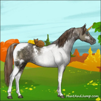 Horse Color:White Spotted Brown Ice Pearl Dun Tobiano Brindle 