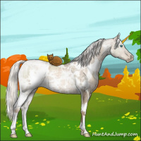 Horse Color:White Spotted Liver Red Dun Ice Pearl Mushroom Rabicano Brindle 