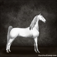 Horse Color:Gray Grullo Brindle