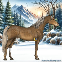Horse Color:Chocolate Palomino Sabino Appaloosa 