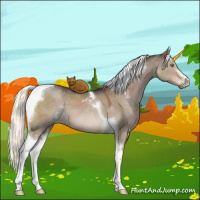 Horse Color:Liver Red Dun Mushroom Sabino Tobiano 