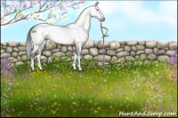 Horse Color:Gray Brown Tobiano Rabicano 