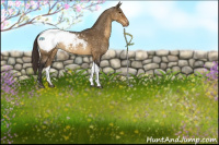Horse Color:Buckskin Dun Sabino Tobiano Appaloosa Rabicano