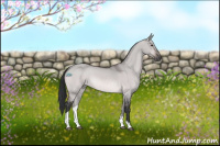 Horse Color:Platinum Bay Dun Sabino Tobiano Rabicano
