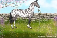 Horse Color:Platinum Brown Dun Sabino Tobiano Near Leopard Rabicano 