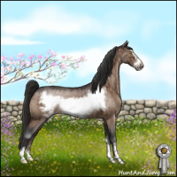 Horse Color:Brown Roan Dun Sabino Frame Appaloosa Brindle