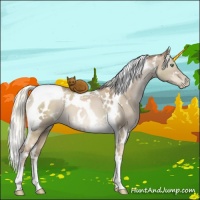 Horse Color:White Spotted Liver Red Dun Pearl Mushroom Tobiano 