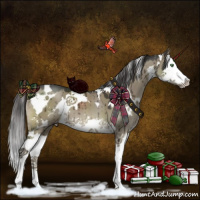 Horse Color:White Spotted Smoky Grullo Mushroom Sabino Splash Brindle