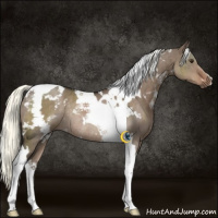 Horse Color:White Spotted Liver Red Dun Mushroom Tobiano Rabicano Brindle 