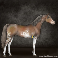 Horse Color:White Spotted Liver Chestnut Mushroom Sabino 