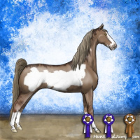 Horse Color:Liver Red Dun Frame 