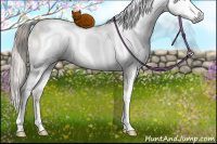 Horse Color:Gray White Spotted Chocolate Palomino Pearl Dun Splash Brindle 