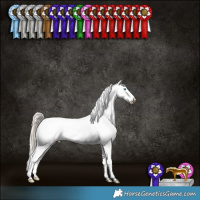 Horse Color:Chocolate Palomino Snowdrop Dun Blanket Brindle 