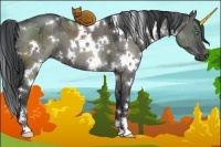 Horse Color:White Spotted Grullo Mushroom Sabino Brindle 