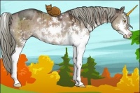 Horse Color:Liver Red Dun Mushroom Sabino Brindle 