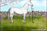 Horse Color:Gray White Spotted Brown 