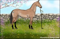 Horse Color:Void Brown Dun Tobiano Rabicano 