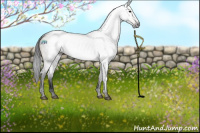 Horse Color:Gray Void Brown Dun Sabino Appaloosa 