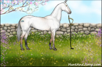 Horse Color:Gray Void White Spotted Buckskin Dun Tobiano Varnish