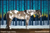 Horse Color:White Spotted Liver Red Dun 