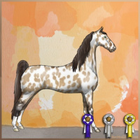 Horse Color:Buckskin Dun Appaloosa