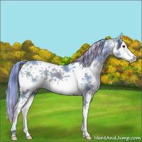 Horse Color:Painted Watercolor Grullo Sabino 