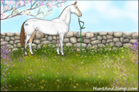 Horse Color:Buckskin Dun Near Fewspot Rabicano 