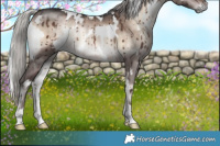 Horse Color:White Spotted Silver Brown Onyx Mushroom Brindle 