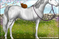 Horse Color:Gray White Spotted Grullo Pearl Mushroom Splash Rabicano 
