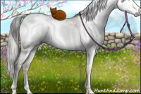 Horse Color:Gray White Spotted Buckskin Ice Pearl Dun Mushroom Rabicano Brindle 