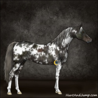 Horse Color:White Spotted Liver Chestnut Ice Mushroom 