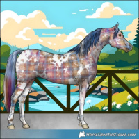 Horse Color:Plaid White Spotted Liver Red Dun Ice