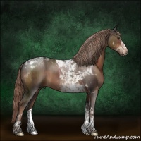 Horse Color:Liver Chestnut Sabino Tobiano 